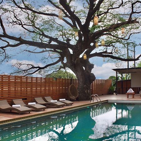 צ'יאנג מאי Bamboori Boutique Resort מראה חיצוני תמונה