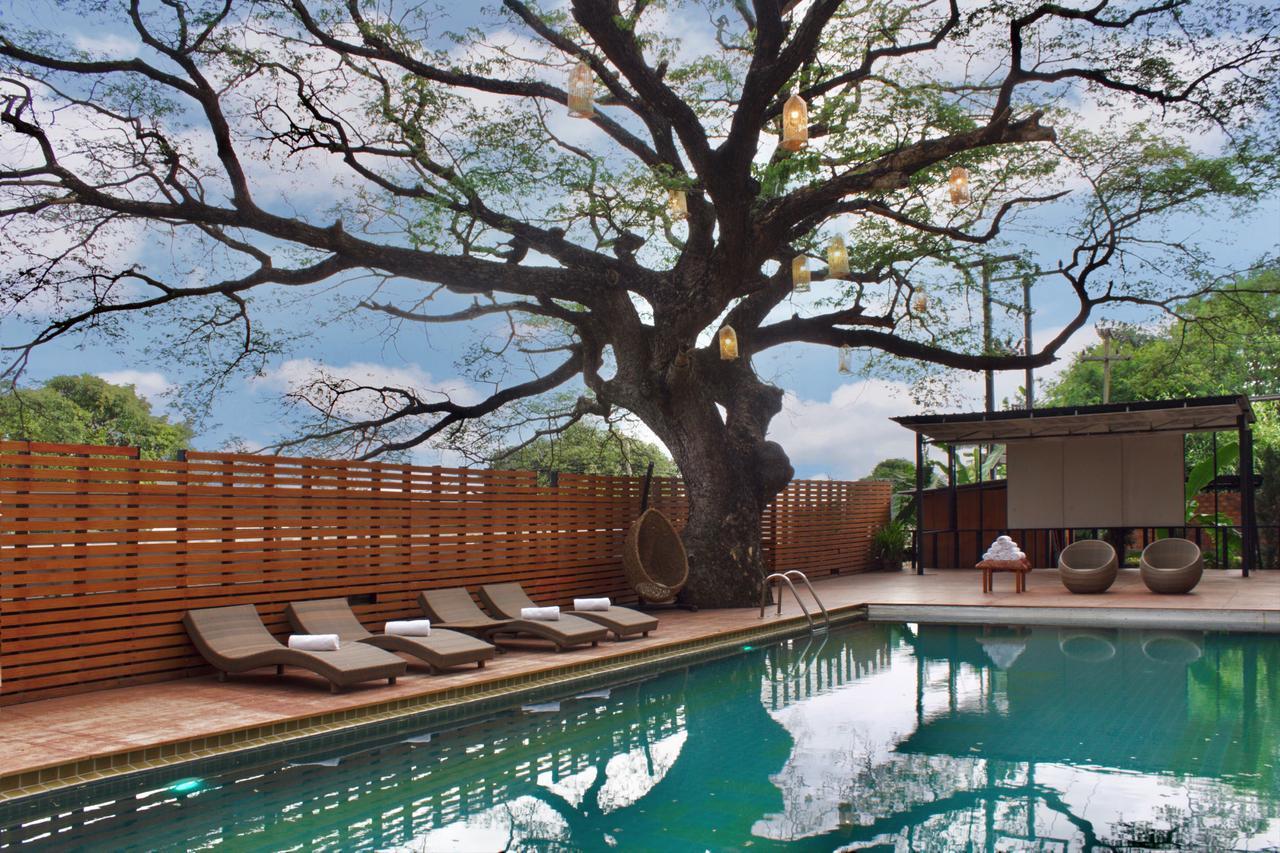 צ'יאנג מאי Bamboori Boutique Resort מראה חיצוני תמונה